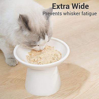 Durable Ceramic Cat Feeding Bowl