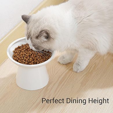 Durable Ceramic Cat Feeding Bowl
