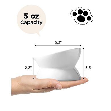 Angled Ceramic Pet Bowl