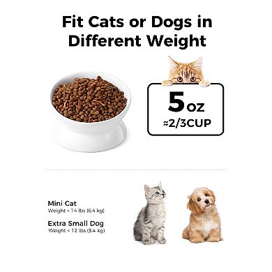Angled Ceramic Pet Bowl