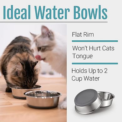 Stainless Steel Dog and Cat Bowls