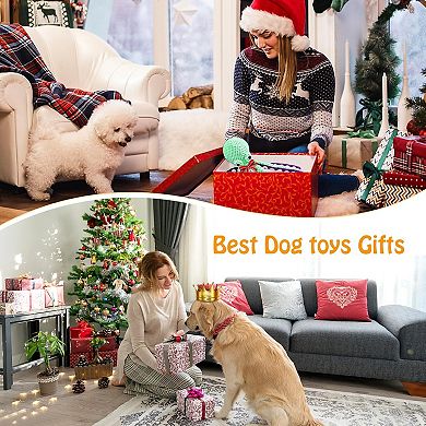 Squeaky Plush Toy for Dogs
