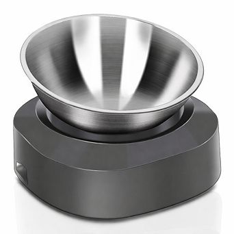 Raised Stainless Steel Cat Bowl