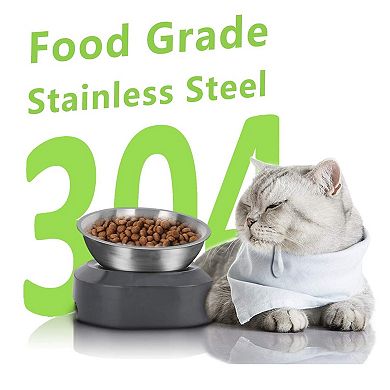 Raised Stainless Steel Cat Bowl