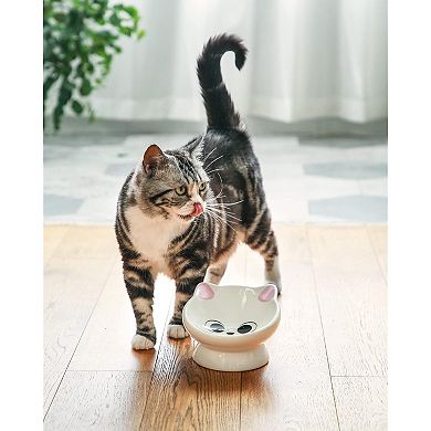 Spine Friendly Cat Food Bowl