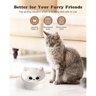 Spine Friendly Cat Food Bowl