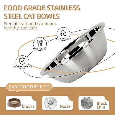 Elevated Cat Food Dish Set