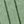 Moss Green