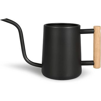 Stainless Steel Watering Can 35oz, Long Spout for Indoor Plants Bonsai Black