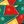 Red Green Yellow