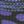 Black Purple