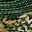 Green Camo