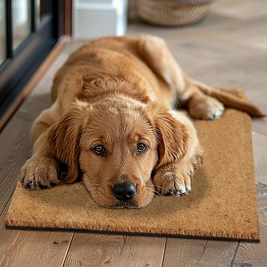 Coco Coir Doormat 2 Pack Non Slip Rubber Backing Dirt Trapping 17x30 Indoor Outdoor Entryway Mat