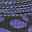 Black Purple