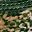 Green Camo