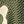 Vineyard Green
