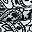 White Black