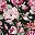 Pink Flowers Black