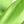 Neon Green