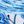 Blue White