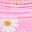 Pink Daisy