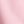 Carnation