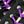 Black And Purpleribbon