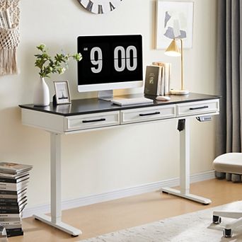 55" Electric Standing Desk with Drawers, Height Adjustable Computer Desk for Home Office