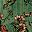 Green Floral