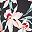 Black Apricot Orchid
