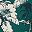 Green Palm Tree