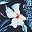 Navy Blue White Floral