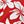 Red White Floral