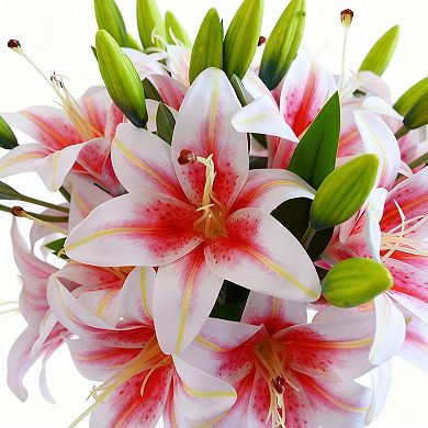 Artificial Lily Flower Arrangement in Vase with Faux Water for Home Decor