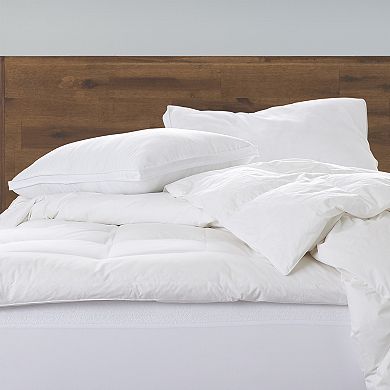 Ella Jayne Gussetted Microfiber Pillow Firm Density 2-Pack
