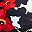 Black Flower