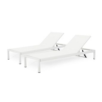 TEINIE Outdoor Chaise Lounge Chair Set of 2, Aluminum Adjustable Outside Chair for Pool Patio Beach