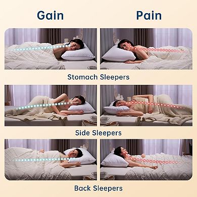 Pillows Queen Size Set of 2, Bed Pillows for Side, Back, and Stomach Sleepers Machine-Washable