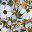 Blue Sky Floral