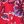 Red Vintage Floral