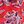 Red Vintage Floral