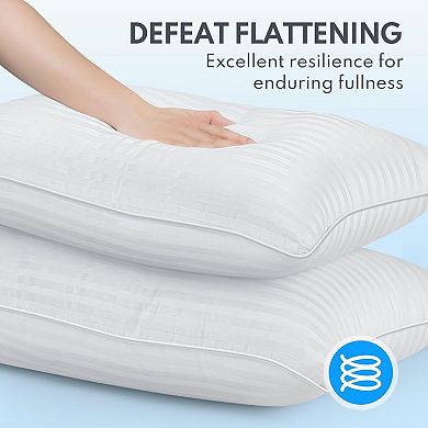 Great Ambitions Queen Down Alternative Pillows Set of 2, Cooling, Hotel Quality, for All Sleepers