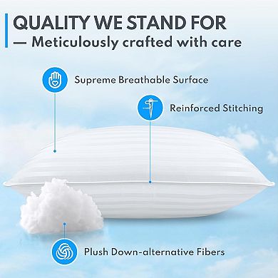 Great Ambitions Queen Down Alternative Pillows Set of 2, Cooling, Hotel Quality, for All Sleepers