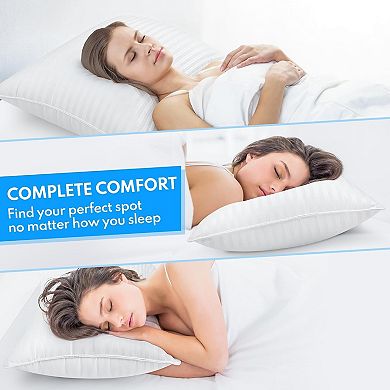 Great Ambitions Queen Down Alternative Pillows Set of 2, Cooling, Hotel Quality, for All Sleepers