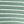 Olive White Stripe