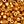 Electrogold Coat
