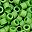 Opaque Spring Green