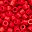Red Fire Cracker Red