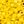 Opaque Yellow Matte