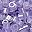 Crystal Purple Lined